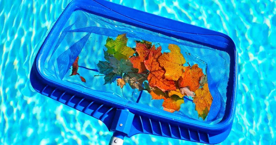 Conseils d'entretien piscine automne